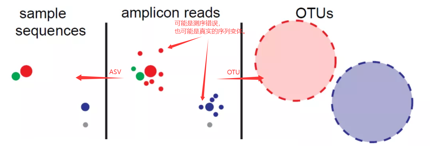 image-20250310104253219
