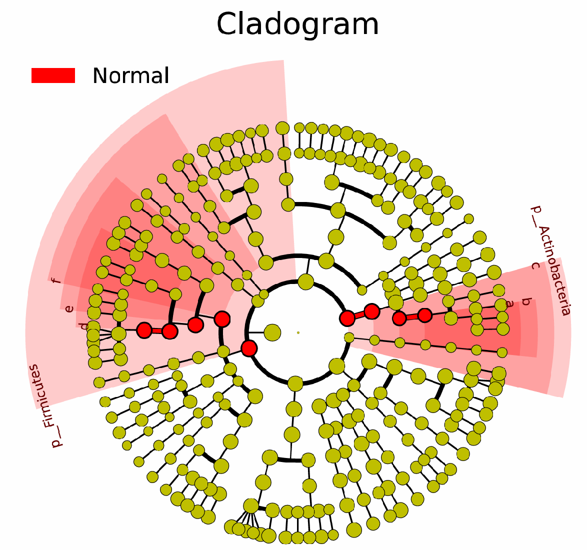 lefse_cladogram