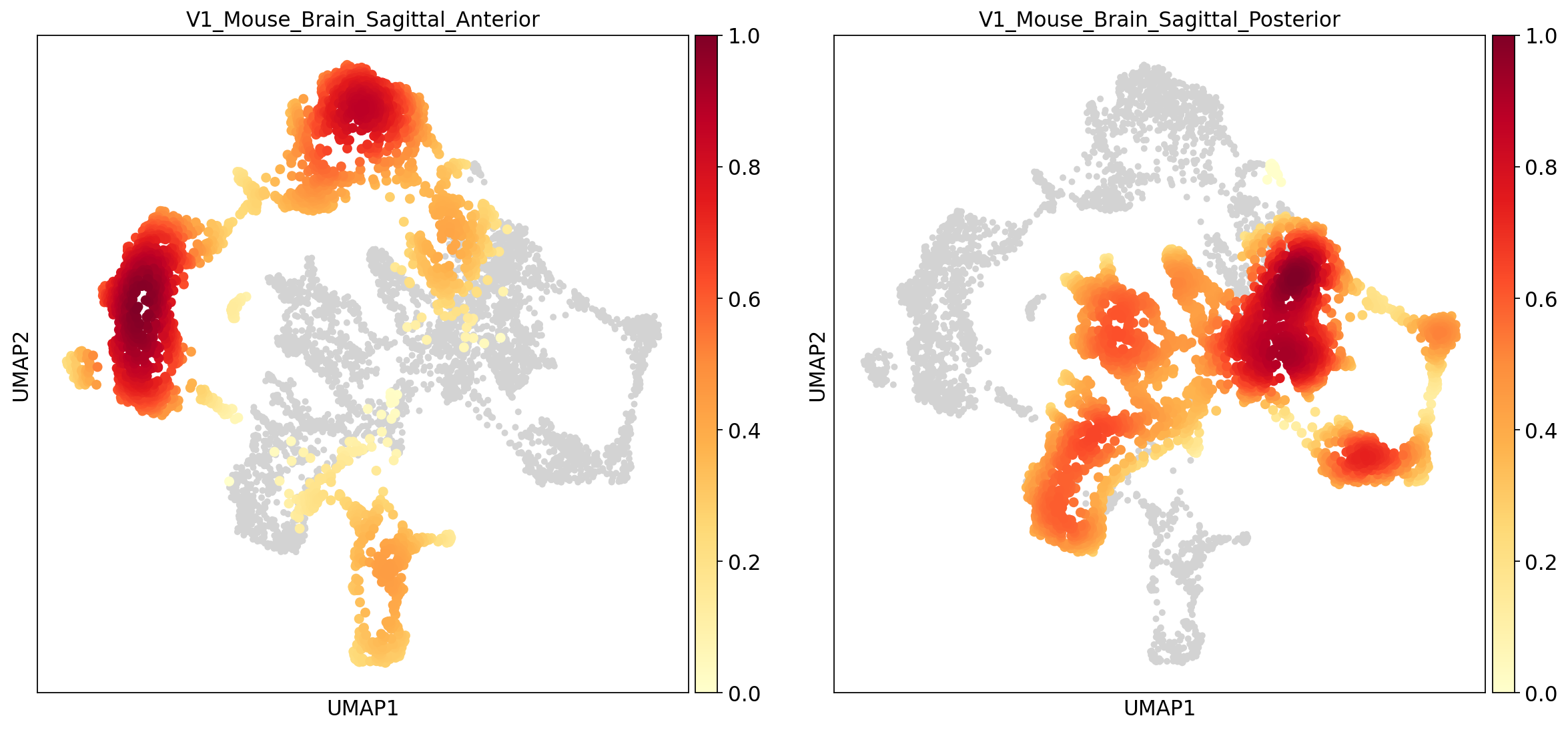 origin embedding density