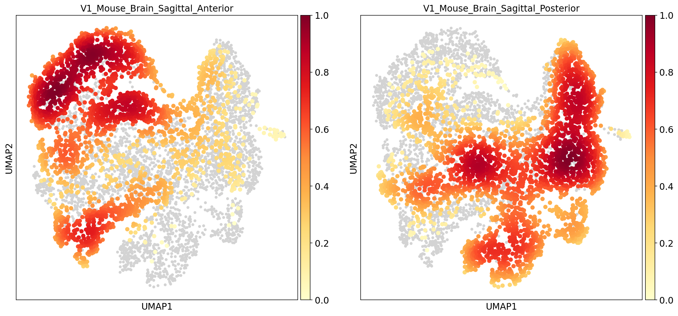 bbknn embedding density