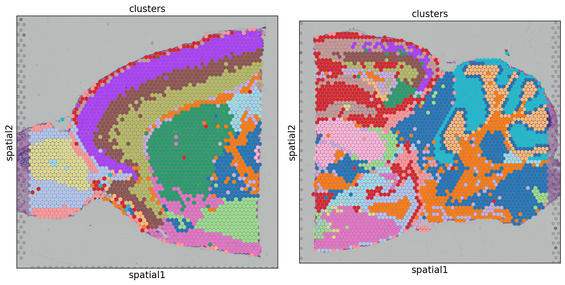 bbknn spatial