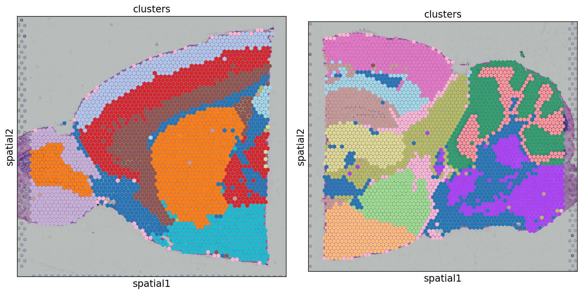 combat spatial
