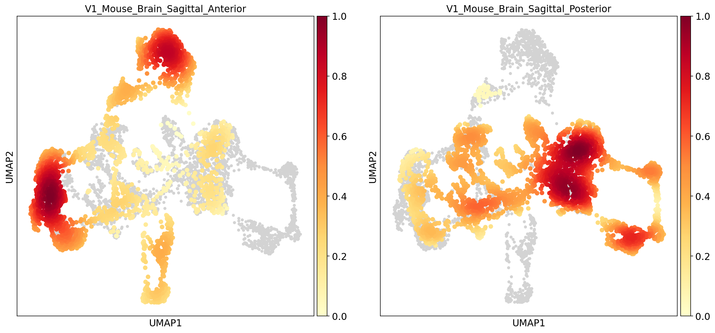 harmony embedding density