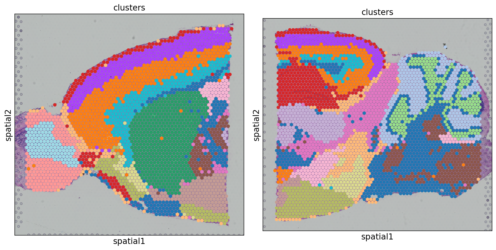harmony spatial