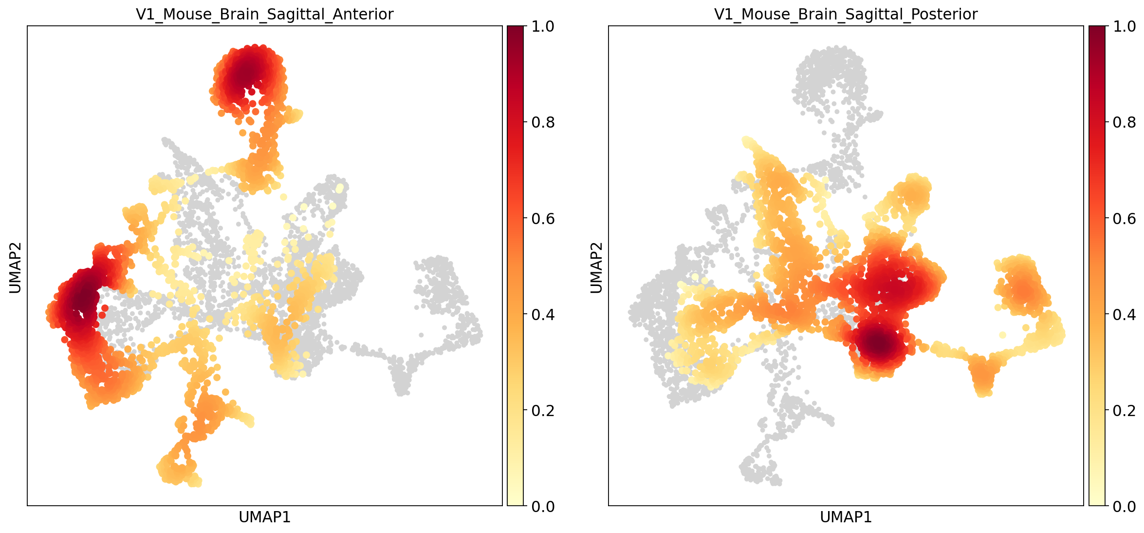 scanorama embedding density