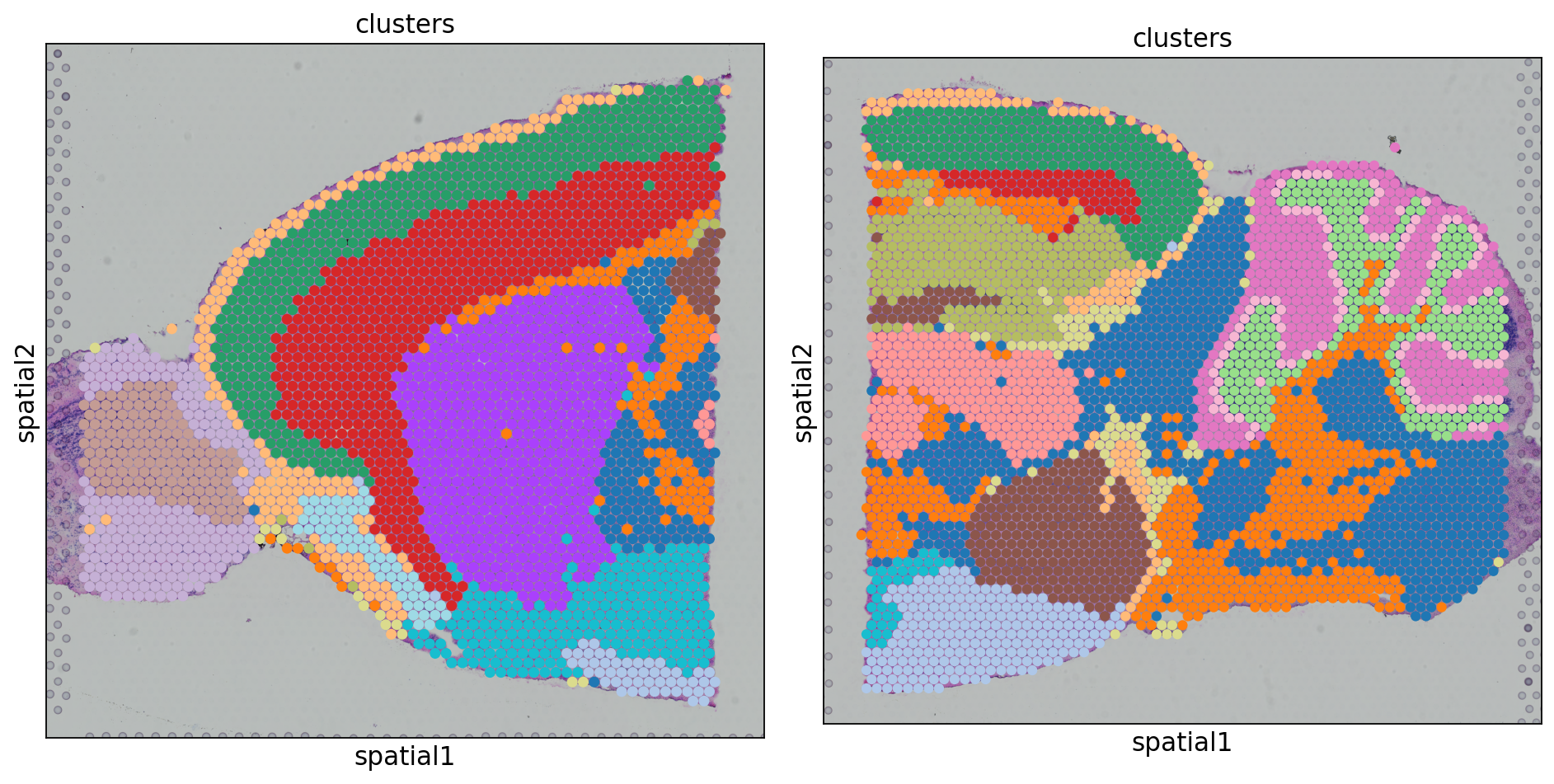 scanorama spatial