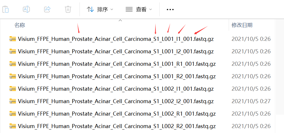 image-20250329100425419