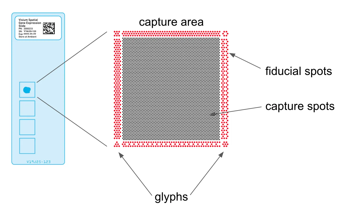 webp-1743988200129-10