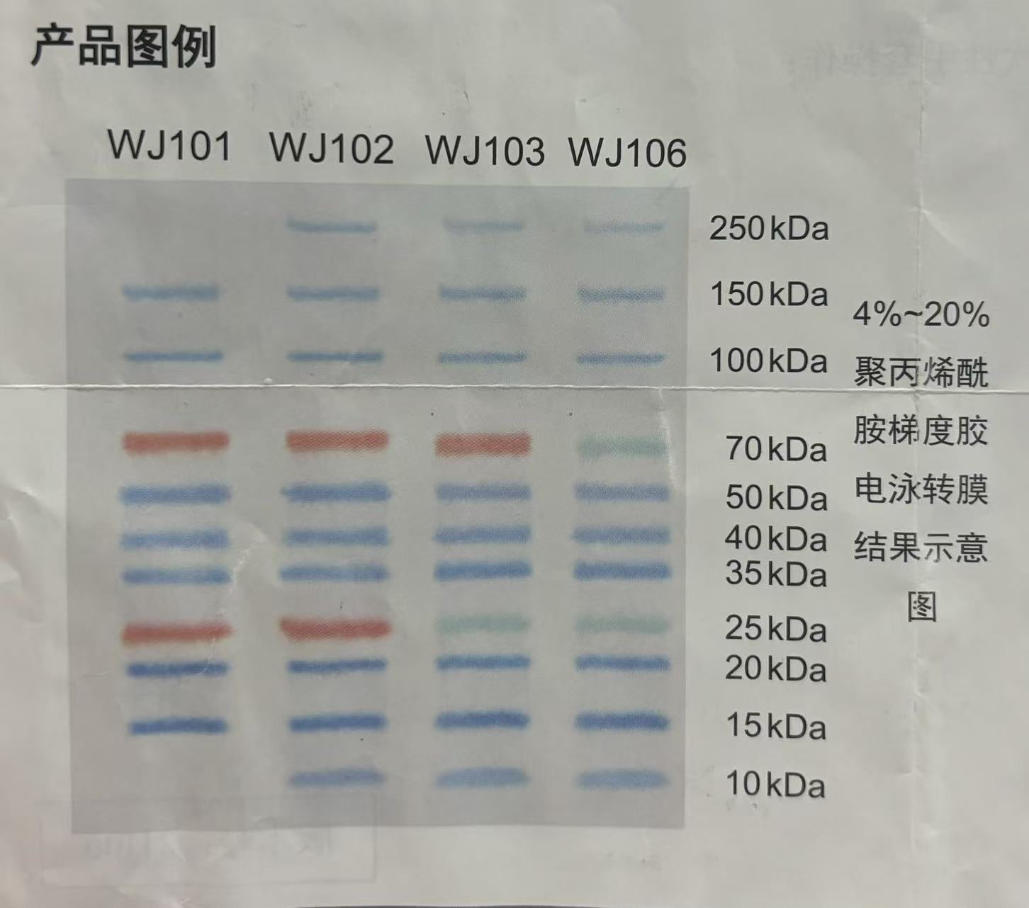 5cc9acf302833e9f20b6563423493d81